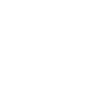 Customs Icon